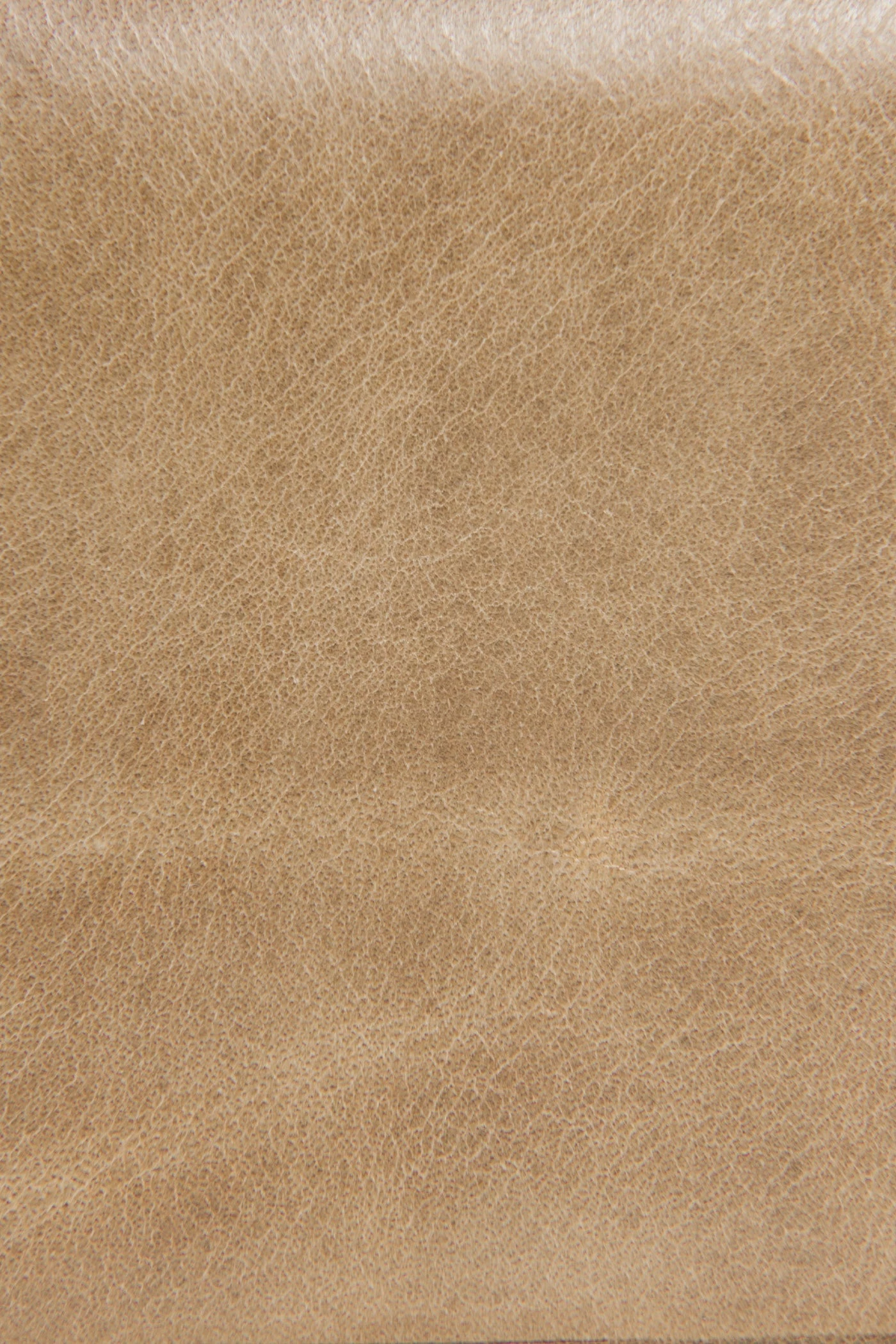 The Frye Company Melissa Medium Wallet - Image 2