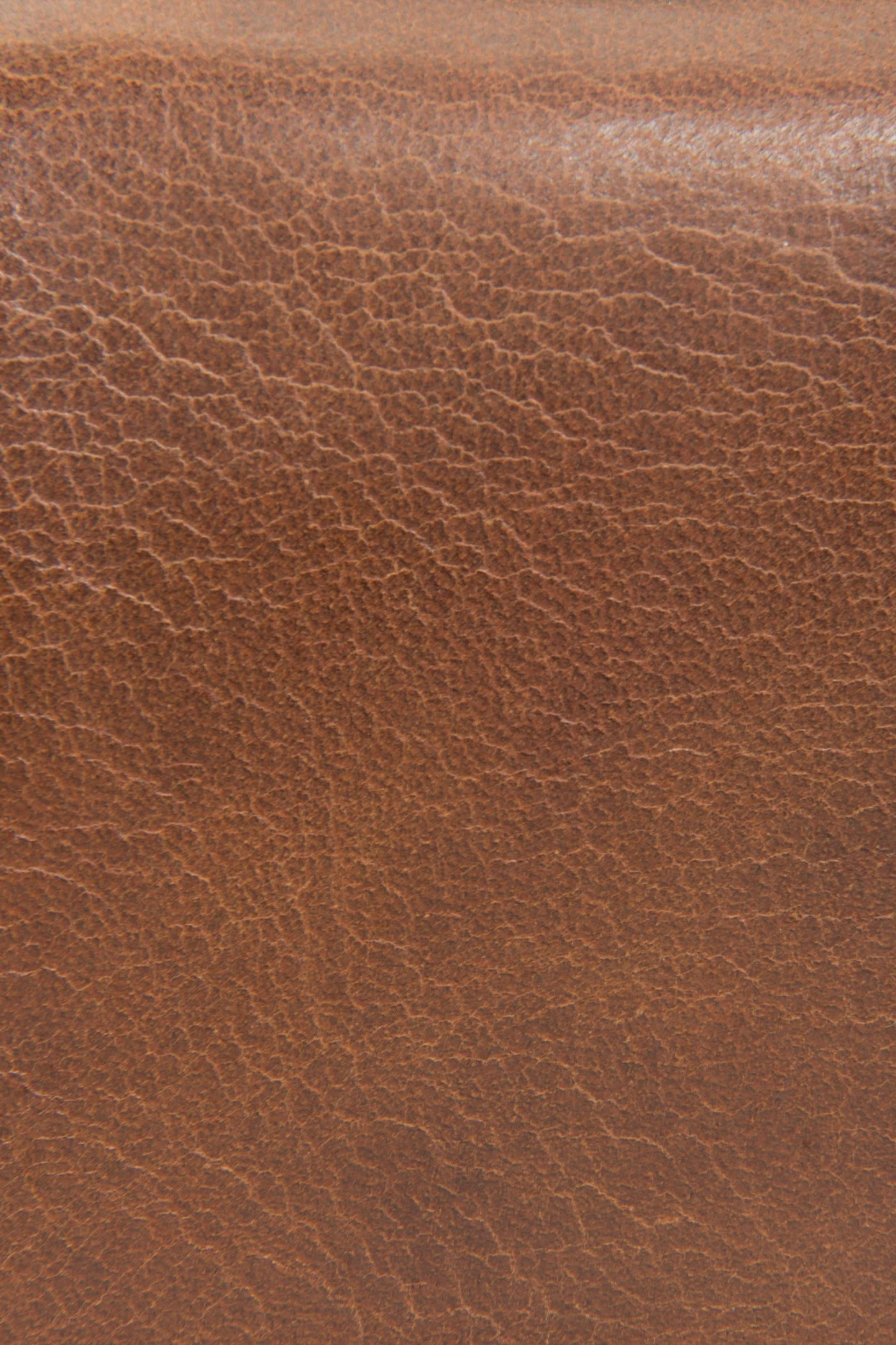 The Frye Company Melissa Medium Wallet - Image 2