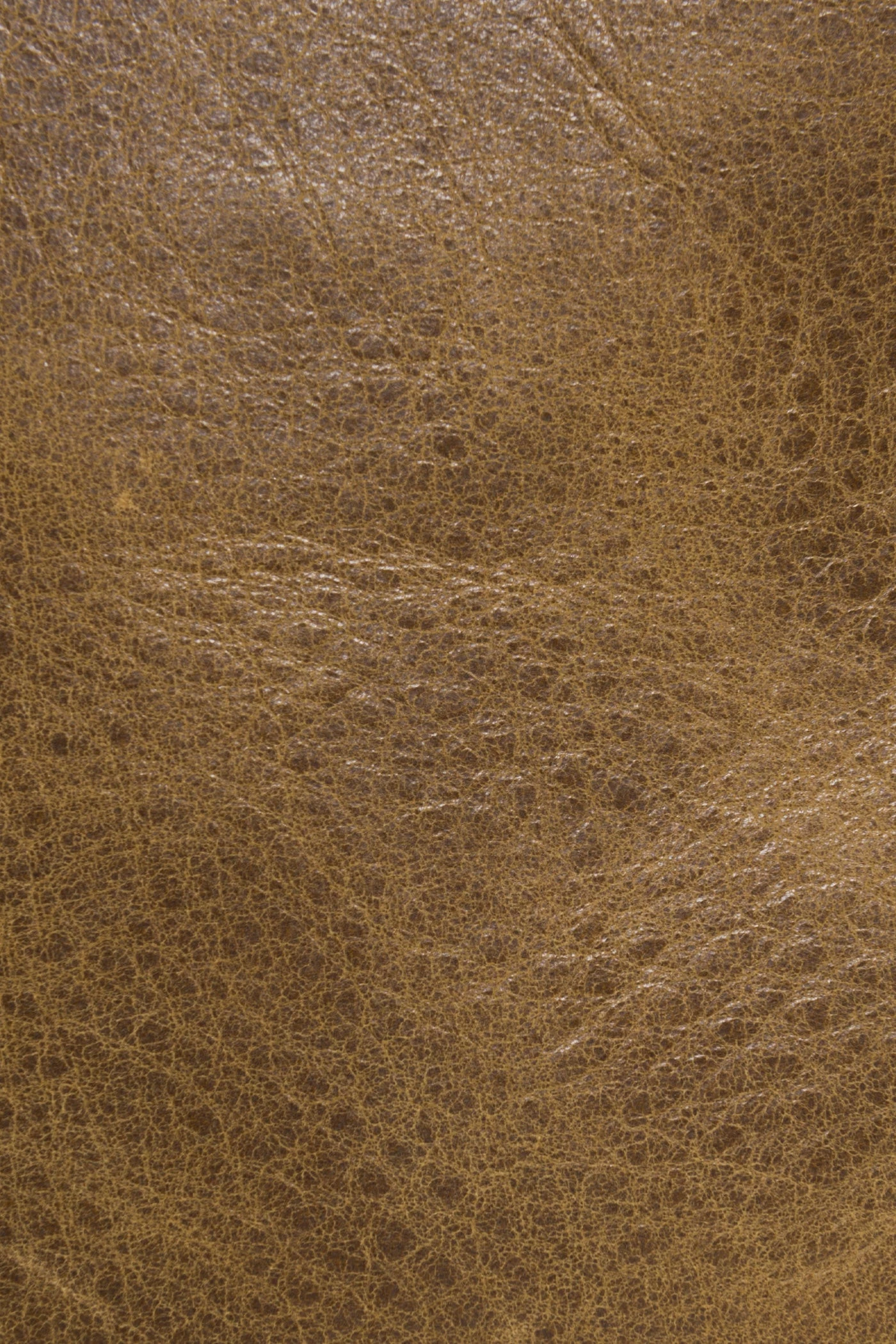 The Frye Company Reed Hobo - Image 4