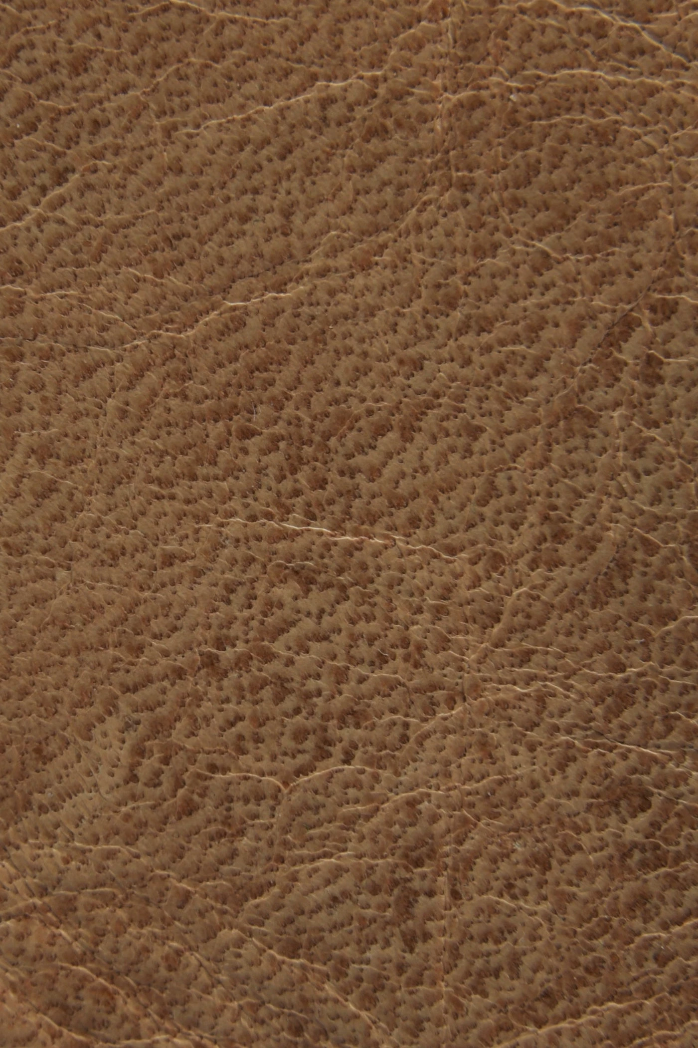 The Frye Company Melissa Satchel - Image 4