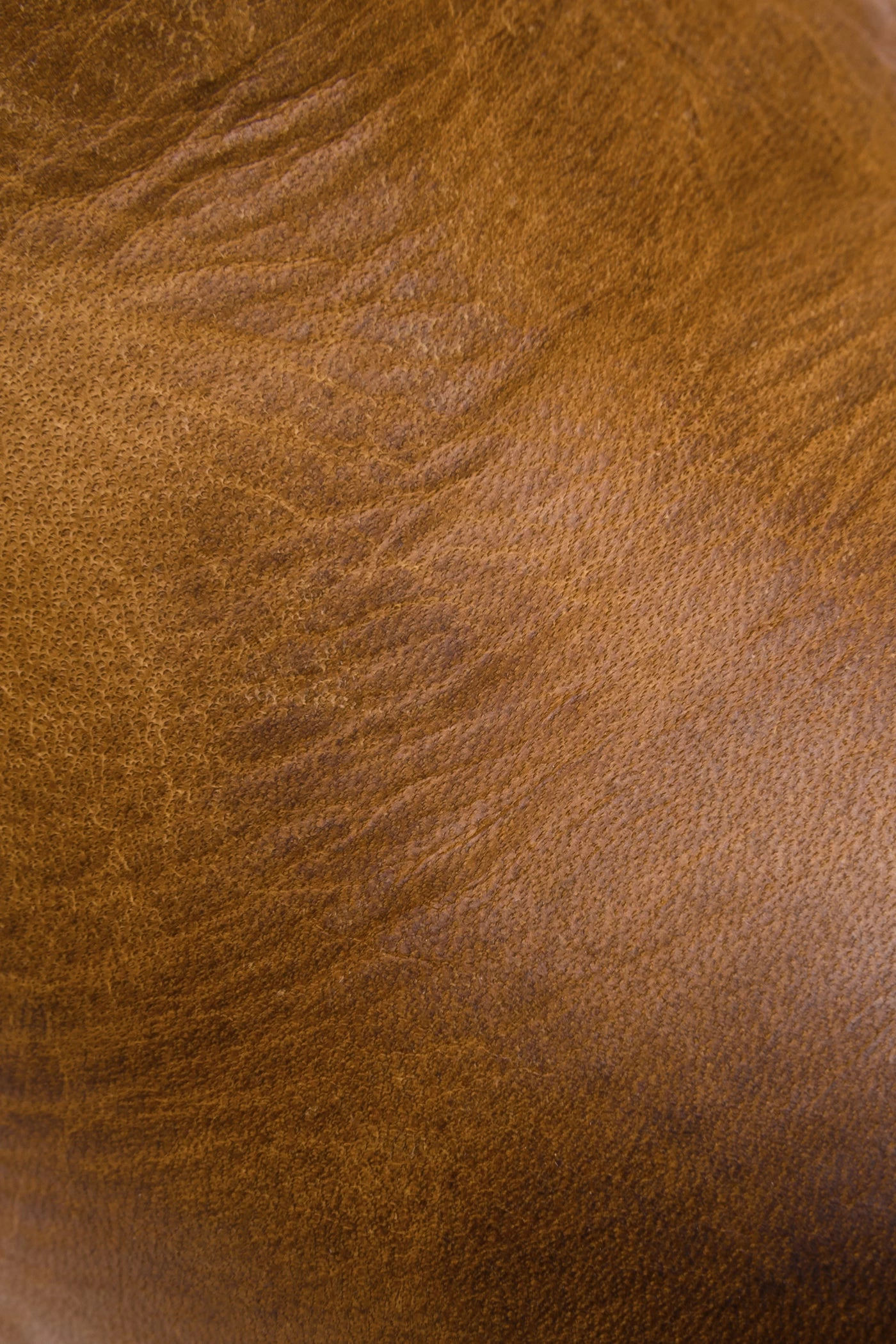 The Frye Company Jackie Button Short - Image 5