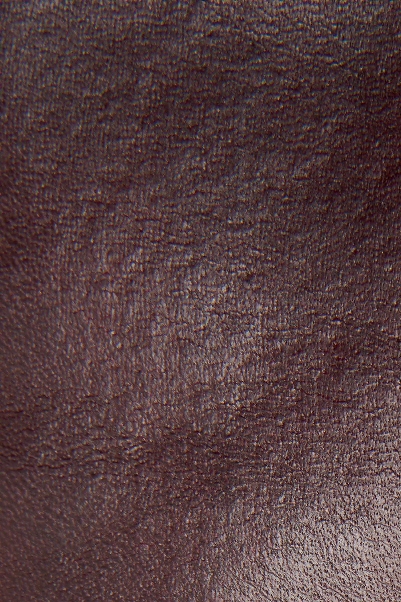 The Frye Company Melissa D Ring Tall Wide Calf - Image 5