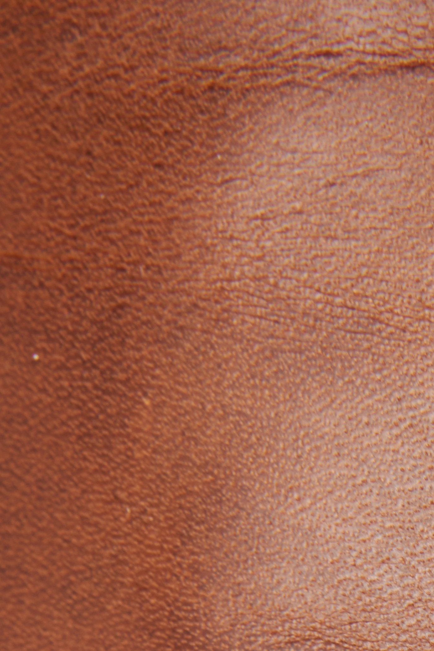 The Frye Company Melissa D Ring Tall - Image 5