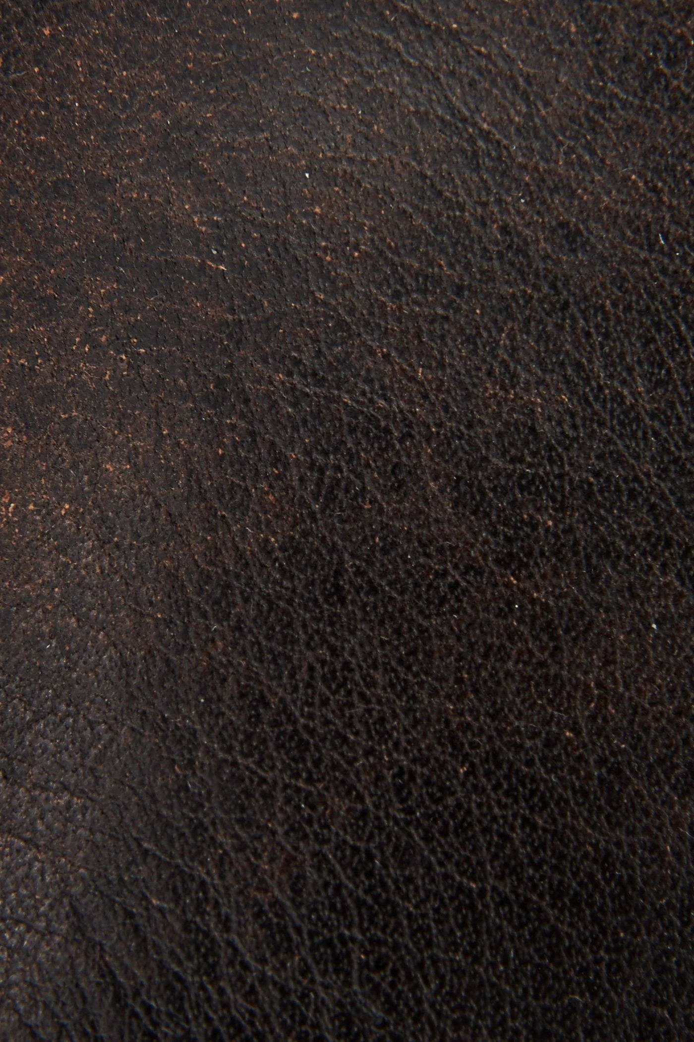 The Frye Company Veronica Harness Short - Image 5