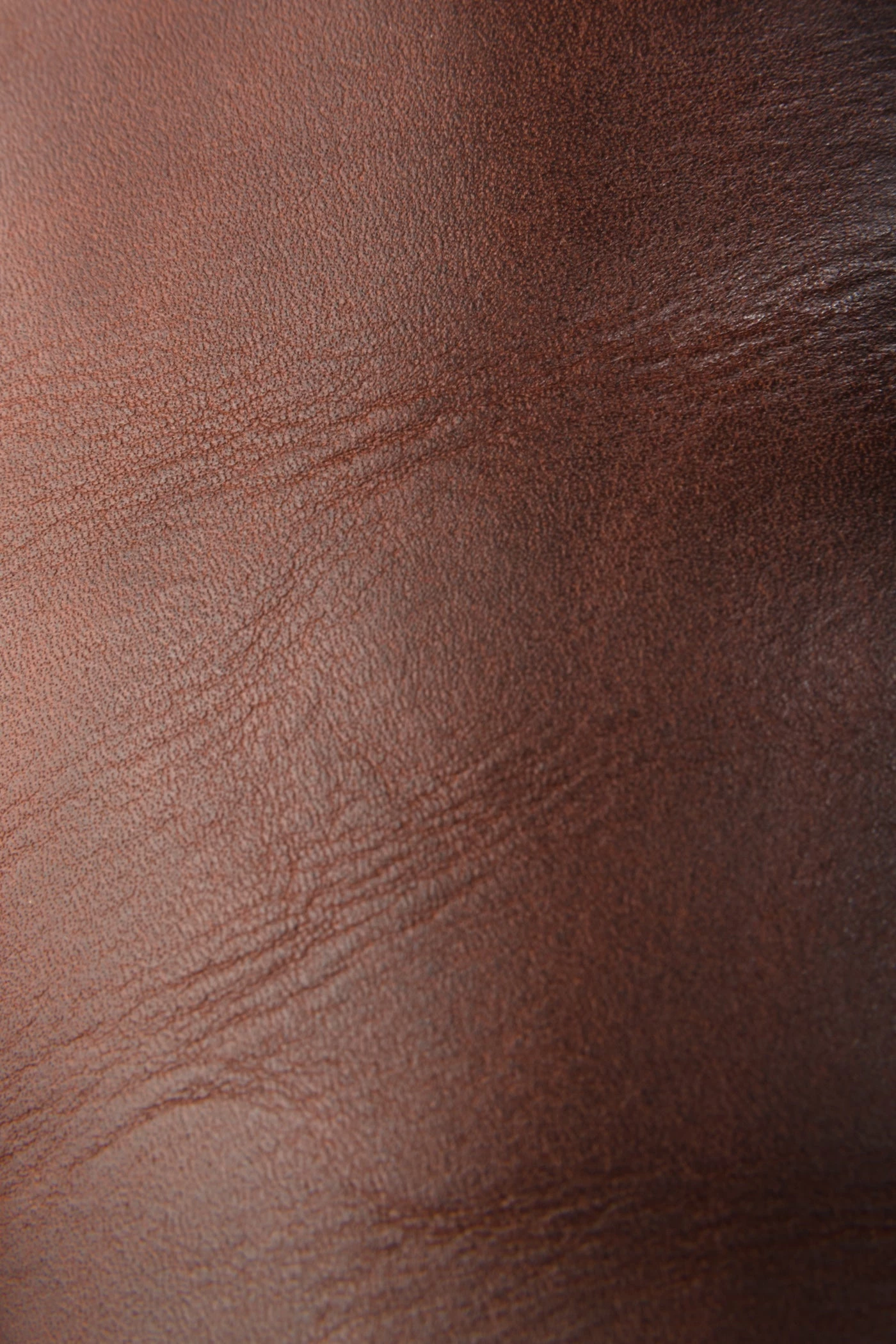 The Frye Company Melissa Button 2 - Image 5