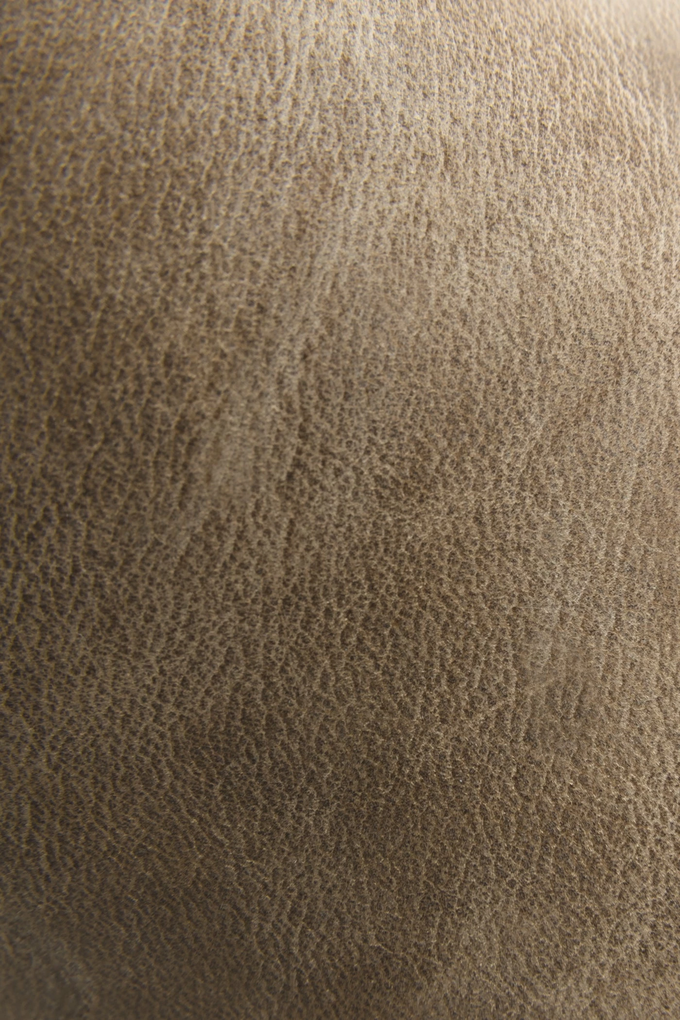 The Frye Company Veronica Short - Image 3